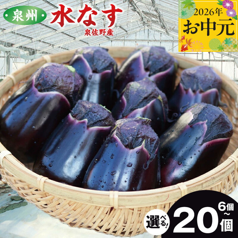 【ふるさと納税】ナス ハウス 水なす 選べる 内容量 6個 / 12個 / 20個 夏旬の水なすを冬にどうぞ 泉州水なす 皮が薄く 水分が多い あく えぐみが少ない 生のサラダで美味しく食べられる ぬか漬けにも 大阪府 泉佐野産 野菜 冷蔵配送 送料無料