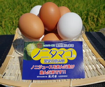 【２ヵ月定期配送】信州ノニタマゴ　茶玉３０個  