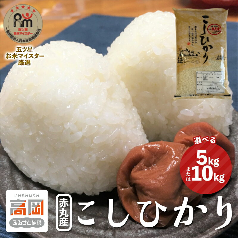【ふるさと納税】【選べる容量】 赤丸産こしひかり 10kg / 10kg（5kg×2袋）/ 5kg 精米 白米 お米 こめ コメ コシヒカリ 富山県 高岡市 FAD-1984var