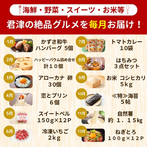 【定期便 12回】 千葉 君津市 決定版 | かずさ和牛 ハンバーグ ねぎとろ ネギトロ ハッピーバウム アローカナ スイートベル 冷凍いちご イチゴ トマトカレー はちみつ お米 こめ コシヒカリ