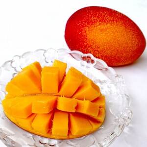 【2026年7月から順次発送・贈答用】美ら宮農園のアーウィンマンゴー2kg(4～6玉)【配送不可地域：離島】【1695311】