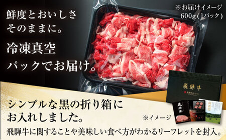 【訳あり】 飛騨牛 切落とし 1kg(500g×2パック) 多治見市 / 飛騨高山ミート MZ035 冷凍 真空パック ブランド和牛[THP026]