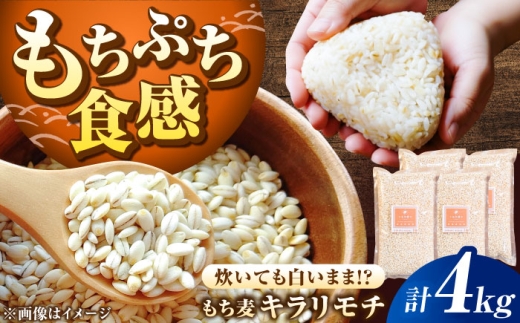 もち麦 キラリモチ 4kg（1kg×4袋）/ 雑穀 雑穀米 穀物 モチ麦 もちむぎ 国産 食物繊維 sticky barley / 佐賀県 / 大塚米穀店 [41ANAD008]