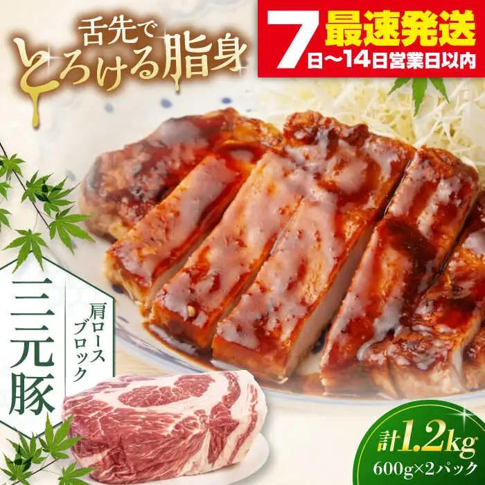  肩ロース ブロック 1.2kg ロースブロック AJAP075
