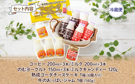 お届けするセット内容です。
