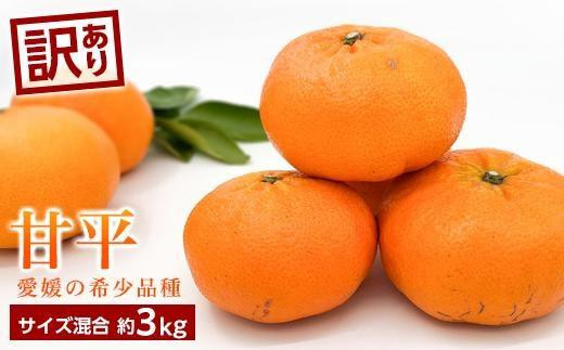 ＜訳あり＞甘平(かんぺい)　約3kg | 甘平 愛媛 かんぺい かんきつ 柑橘 果物 フルーツ みかん 蜜柑 mikan くだもの グルメ 送料無料 お取り寄せ 愛媛県 松山市