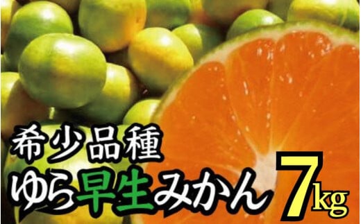 由良早生 みかん 家庭用 7kg / ゆら早生 温州みかん 極早生 甘い 家庭用 和歌山 柑橘 ※10月上旬～10月下旬順次発送 ※北海道・沖縄・離島への配送不可 【nuk003-yura-7B】