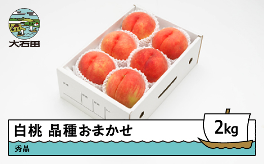 【先行予約】 もも 白桃 秀品 品種おまかせ 2kg 化粧箱入りフルーツ 果物 令和8年産 2026年産 山形県産 ns-mohtx2