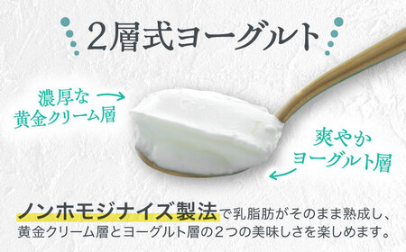 【全12回定期便】オオヤブデイリーファーム くまもと半熟よーぐるちょ 350g×5個ヨーグルト[AYAE024]