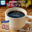 【ふるさと納税】ブレンド 粉 100g×2 珈琲 コーヒー 生豆 自家焙煎 フルーティー スペシャルティコーヒー 中挽き ハンドドリップ 飲料 ドリンク ギフト お取り寄せ グルメ 開拓ブレンド 天野珈琲 北海道 札幌市