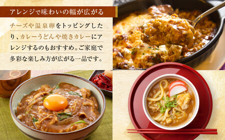 八代目儀兵衛監修 京都スパイスカレー 詰合せ＜8食セット＞｜レトルトカレー