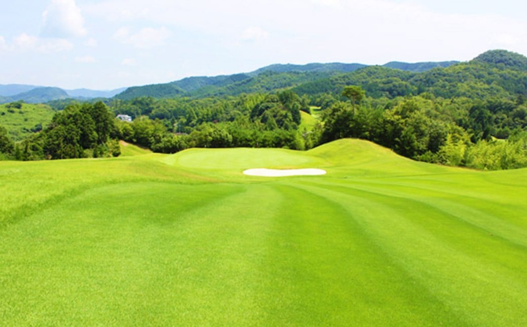 チケット ザ・オークレットゴルフクラブ 利用券 1,000円分×9枚