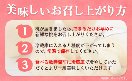 桃 なつおとめ 2kg　白桃