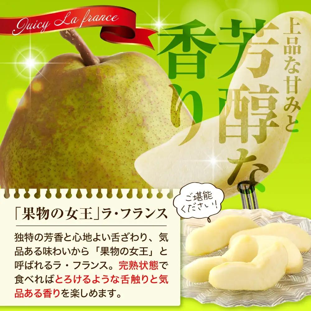 ラ・フランス & サンふじ 詰合せ 3kg 山形 りんご ラフランス