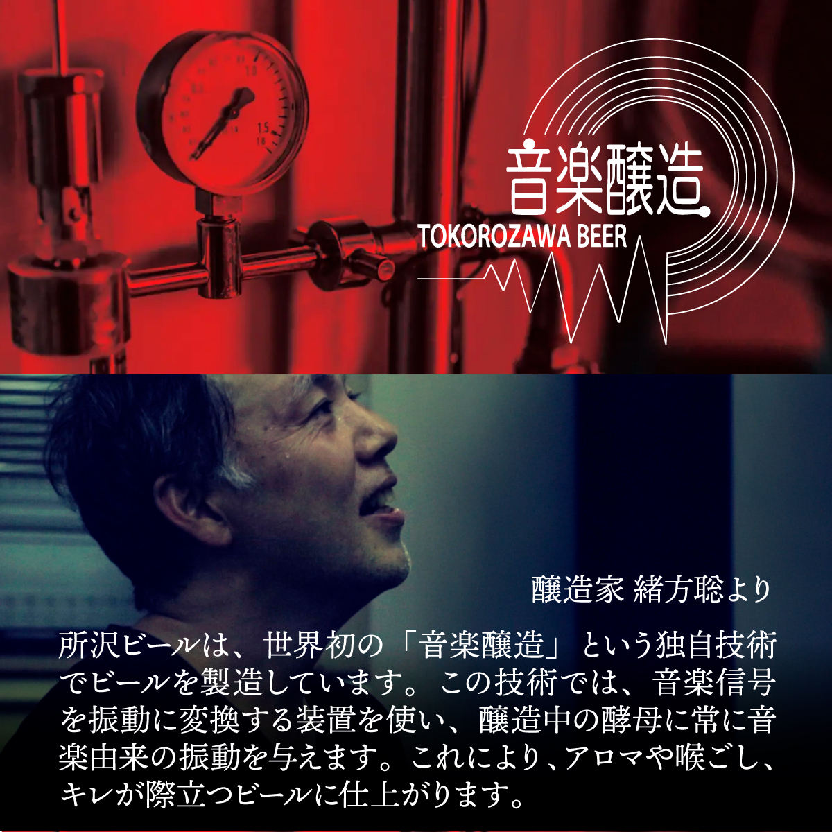 燻製ビール 6本で贅沢 (ファラオ) シングルセット 所沢ビール