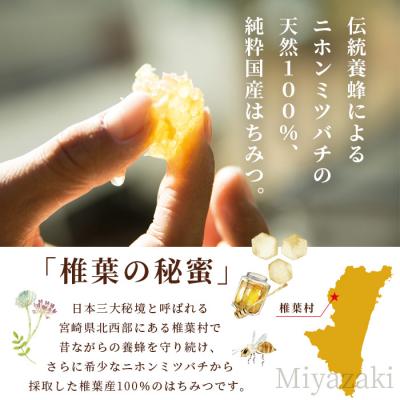 ふるさと納税 椎葉村 【秘境を味わう】椎葉の秘蜜 【250g×2本】国産天然はちみつ【数量限定】 MS-06 |  | 02