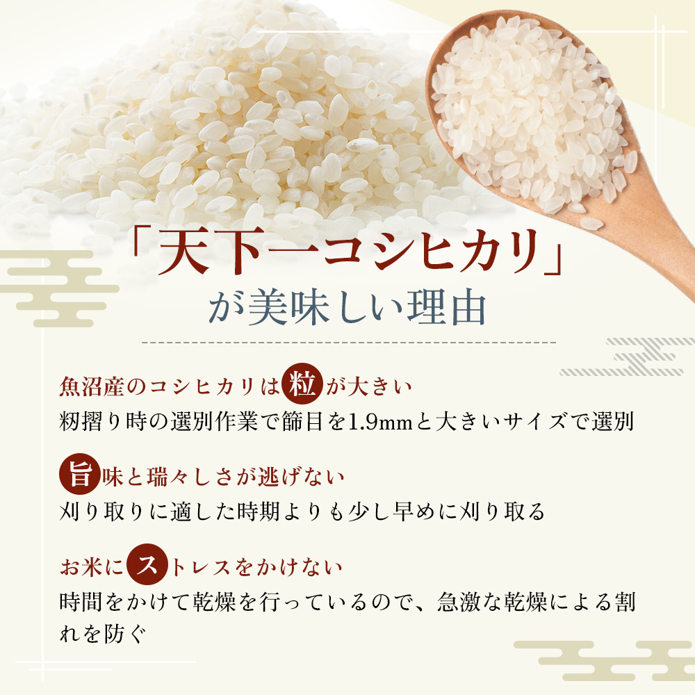 定期便 魚沼産 天下一コシヒカリ（商標） 3kg 食べればわかります！ 全9回 （ 米 定期便 9ヶ月 コシヒカリ こしひかり お米 精米 新潟 魚沼 魚沼産コシヒカリ 魚沼産こしひかり こめ）