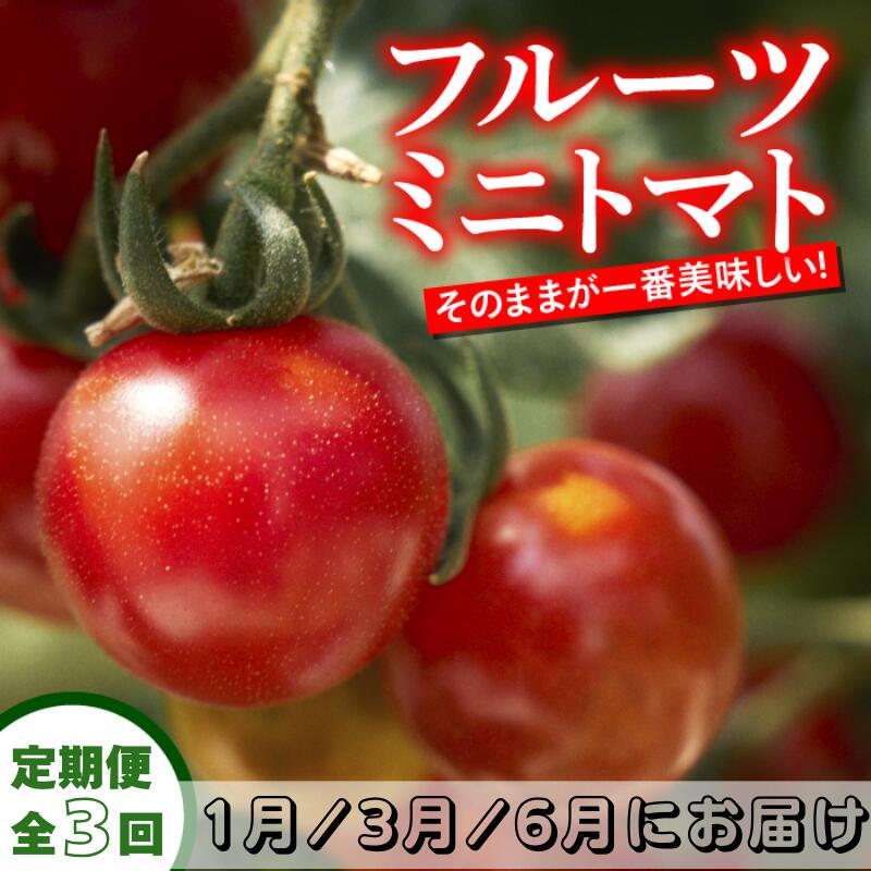 【ふるさと納税】 定期便 3回 トマト フルーツミニトマト 1kg 1月・3月・6月にお届け フルーツトマト ミニ 完熟 甘い 濃厚 野菜 人気 ふるーつとまと 美味しい 箱詰め 糖度 高知 四万十川 まちだ農園 高糖度 定期便 ギフト おやつ プチ お弁当 季節限定