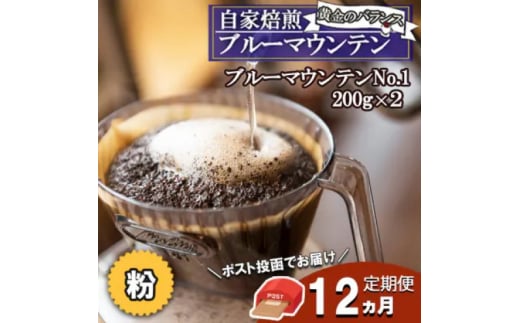 定期便 12ヶ月 自家焙煎 ブルーマウンテン (ストレート・粉) 200g×2 ポスト投函 コーヒー 珈琲 12回 お楽しみ