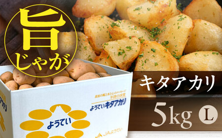 【9月下旬以降順次発送】 じゃがいも キタアカリ 5kg　《喜茂別町》　【Aコープようてい】 ジャガイモ じゃがいも 野菜 季節の野菜 詰め合わせ 北海道 産地直送[AJAK028]