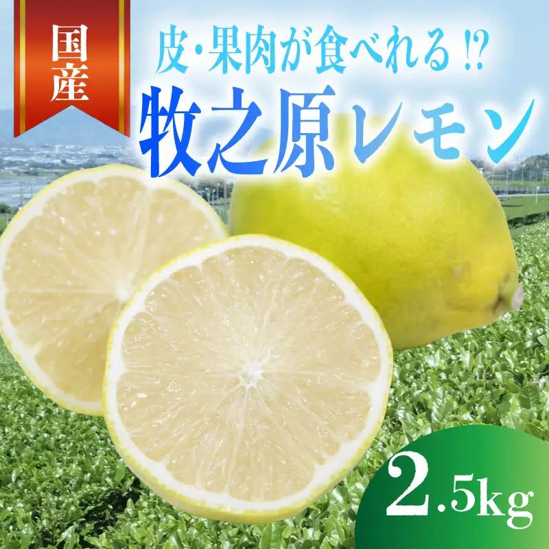 【先行予約 国産 レモン】 2.5kg れもん 檸檬 タタラ商店 
