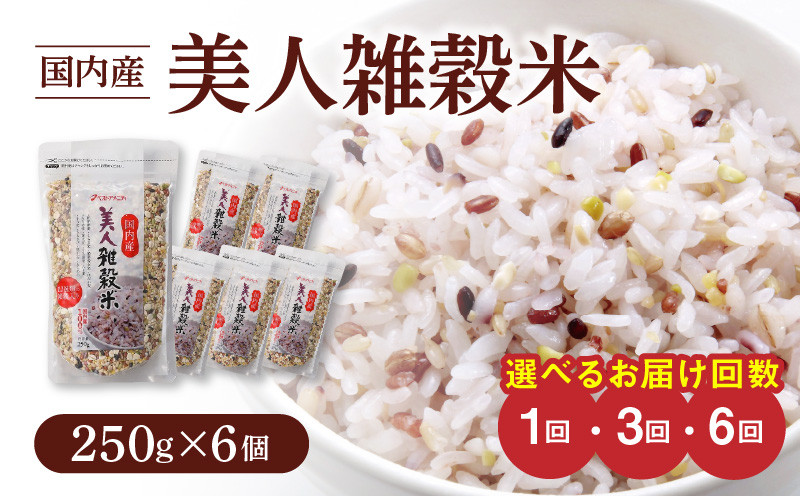 
                  国内産 美人雑穀米 250g×6個_雑穀米 国内産 250g × 6個 選べる お届け回数 1回 3回 6回 美人雑穀米 雑穀 12種 ブレンド 混ぜて炊くだけ 冷めても美味しい 胚芽押麦 もち玄米 発芽 玄米 もち黒米 ハト麦 もち麦 もちきび 黒大豆 もちあわ 簡単 主食 おにぎり 弁当 ふっくら もちもち
                