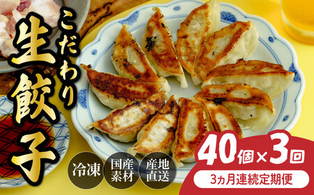 【定期便】 餃子 40個×全3回 | ぎょうざ 冷凍 北本フーズ