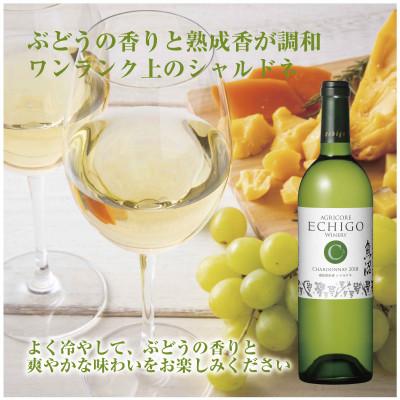 ふるさと納税 南魚沼市 越後ワイン シャルドネ 白 750ml 越後ワイナリーの辛口 魚沼ワイン 新潟県南魚沼市 |  | 01