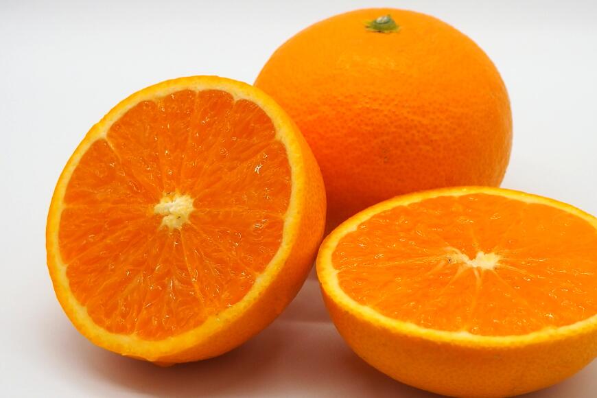 【ふるさと納税】【先行予約】Saito Orange Farmの訳あり清見タンゴール10kg ※離島への配送不可（2026年3月中旬頃より順次発送） 【ふるさと納税 人気 おすすめ みかん 柑橘 清見 タンゴール 清見タンゴール 訳あり Saito Orange Farm 愛媛県 伊方町 送料無料】 IKTAQ010