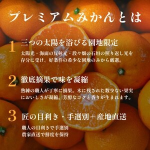 老舗農家が見極めたプレミアム【小玉】愛媛みかん10kg【愛媛県川上産】【E70-93】【1671190】
