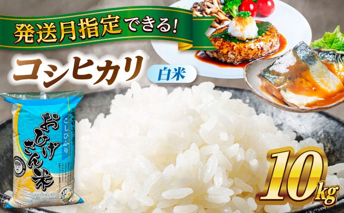 
            米 【選べる発送月】 コシヒカリ 白米 10㎏ 米 お米 10kg 10キロ 白米 精米 新米 コメ ご飯 ごはん 愛知県産 国産 県産米 国産米 コシヒカリ こしひかり 発送 時期 選べる 産地直送 30000円 3万円 令和7年 愛西市 / 脇野コンバイン [AECP022]
          