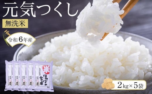 ＜令和6年産新米＞元気つくし無洗米2kg×5袋 【無洗米 精米 ご飯 ごはん 米 お米 元気つくし ブランド 小分け 包装  備蓄米 便利 筑前町産 旬 おにぎり お弁当 食品 筑前町ふるさと納税 ふるさと納税 筑前町 福岡県 送料無料 AB012】