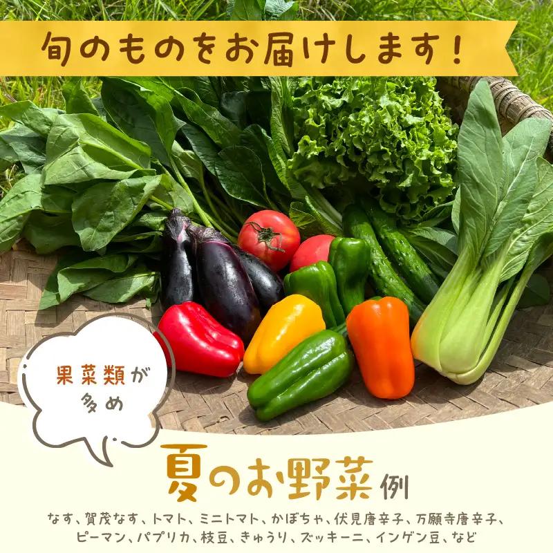 【6回定期便】有機野菜・京野菜の『京都やおよし』のお野菜と米2kgの詰め合わせ