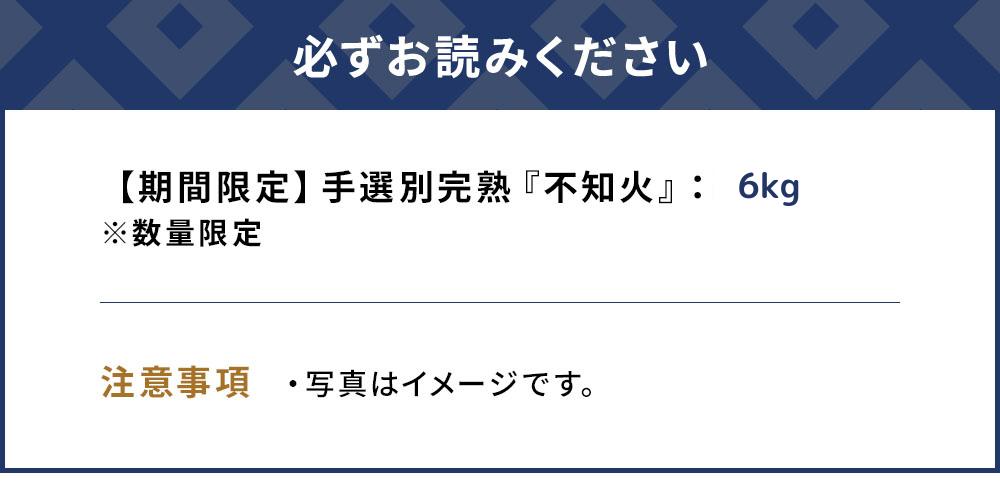 【先行予約】不知火 6kg 手選別完熟 みかん ミカン オレンジ フルーツ 柑橘類 大分県産 九州産 津久見市 国産【tsu002803】