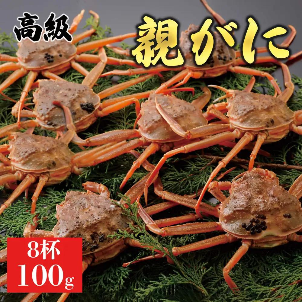1066.【2026年12月発送】鳥取県産 特撰 親がに 姿【 セコガニ 】（なま）100g　8杯 | ズワイガニ ズワイガニ メス 蟹