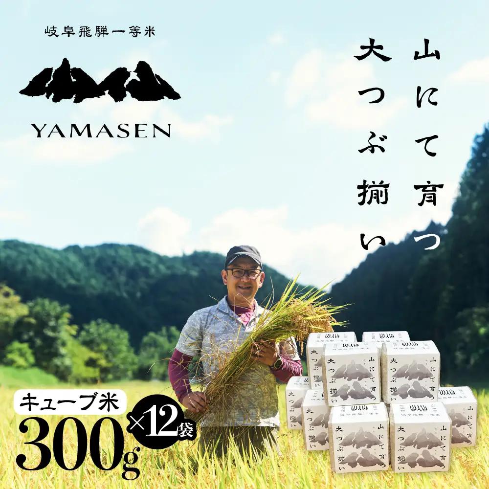 新米予約受付【令和7年産米】すがたらいす 山仙 (いのちの壱) キューブ米 12個 （1個 300g（2合））真空包装 プチギフト ギフト 小分け お裾分け 下呂市金山産 2025年産 お米 精米 米 いのちのいち やません ブランド米 有限会社 すがたらいす【51-24】