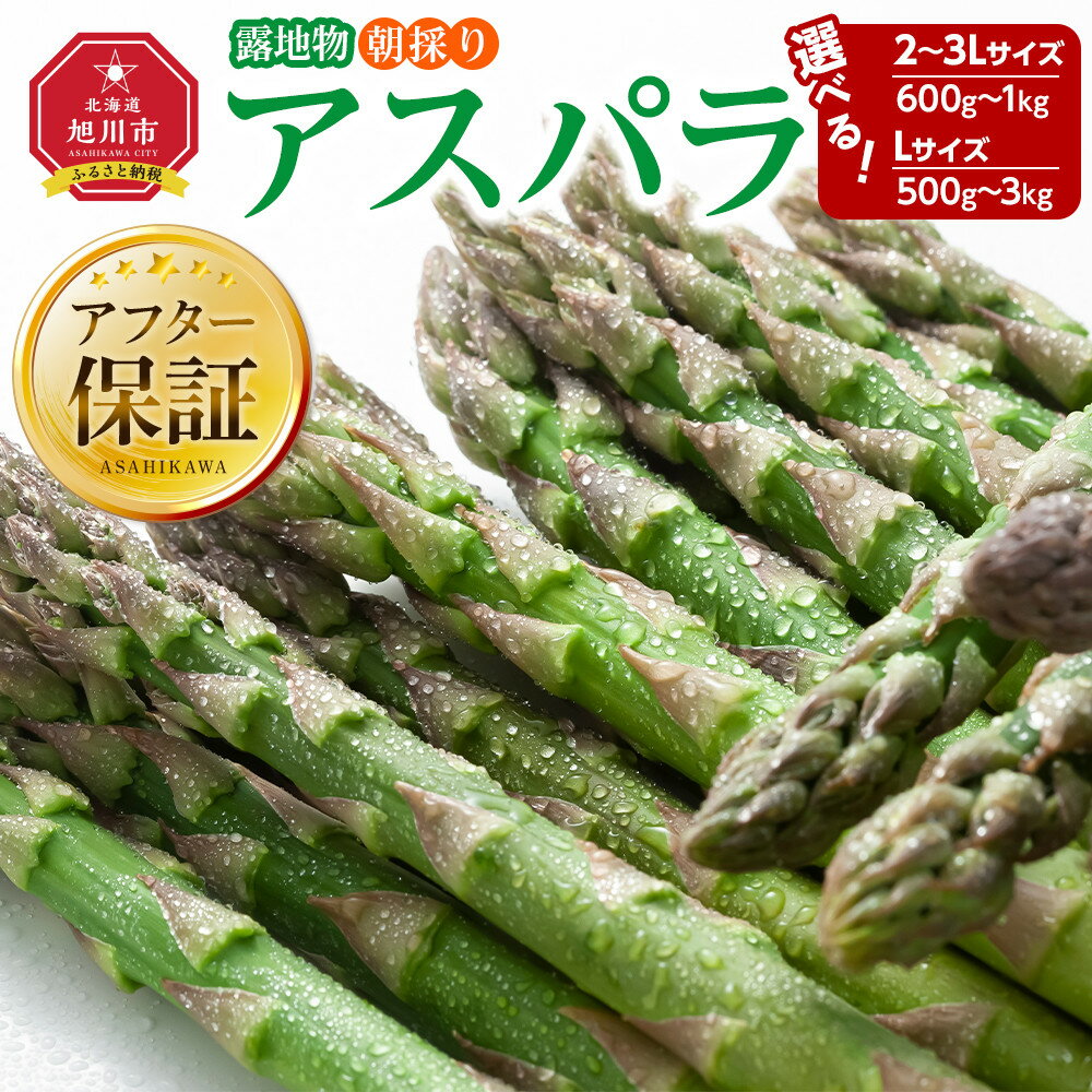 【ふるさと納税】ランキング常連【26年先行予約】露地物朝採りアスパラ 鮮度保持フィルム入り(5月中旬発送開始予定) | 野菜 アスパラガス グリーンアスパラ 旬 とれたて お取り寄せ 産地直送 小分け 保存 旭川市 北海道 送料無料
