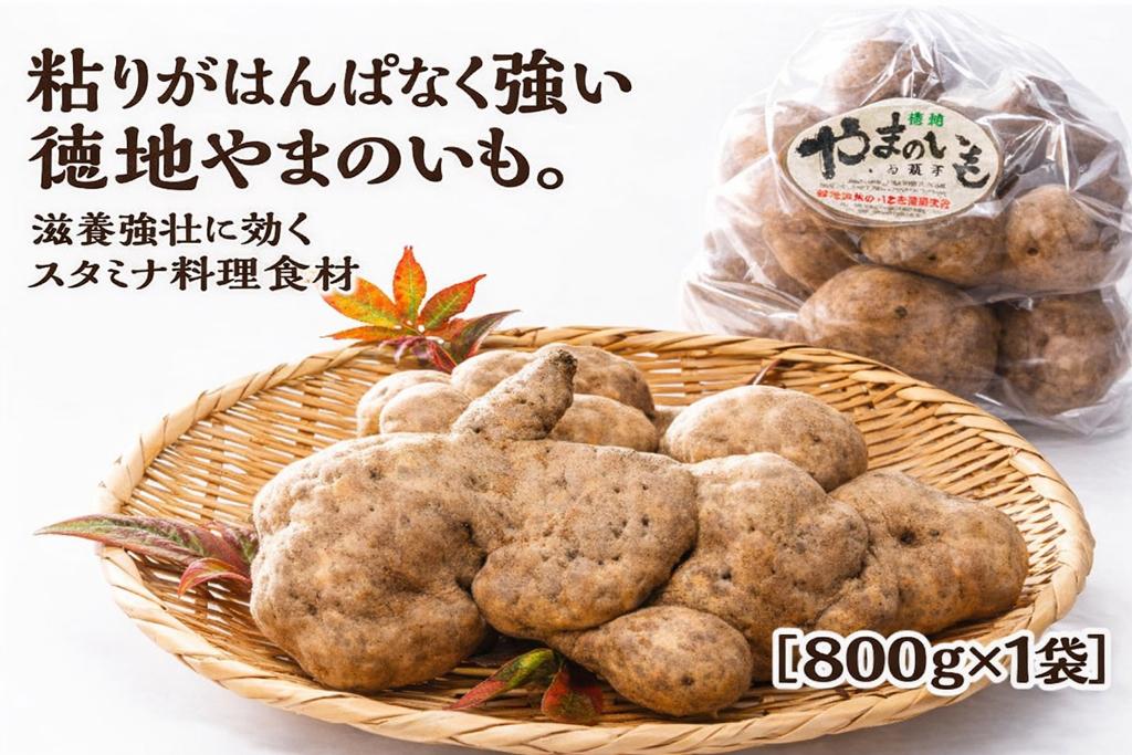 
                  E118 徳地やまのいも800g袋（ご家庭用）×1袋
                