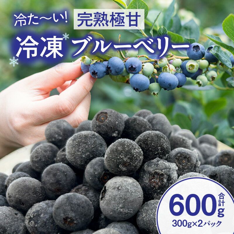 【ふるさと納税】【冷た～い】完熟極甘ブルーベリー(冷凍)600g・N069 果物 フルーツ ケーキ 旬のフルーツ 季節のフルーツ 甘い デザート おすすめ 国産 冷凍ブルーベリー ギフト プレゼント お祝い 内祝い お返し 贈り物 贈答 贈答用 食品 愛知県 西尾市 送料無料