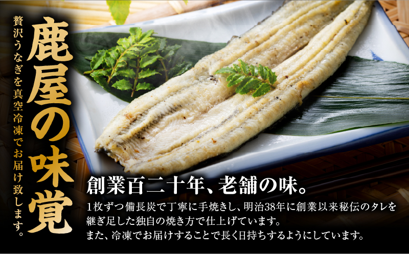 大隅産うなぎの白焼き 3尾　KN174-002-03