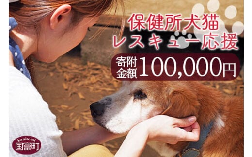 
										
										＜保健所犬猫レスキュー【返礼品なしのご寄附】＞寄付金額100,000円※お礼状をお送りいたします。【0625_in】
									