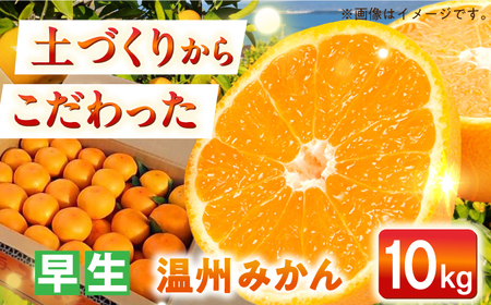 【自然の力を活かした栽培】温州みかん（早生） 10kg -2025年11月中旬より発送- 農事組合法人希望種（きぼうのたね）[ECQ004]  みかん ミカン 柑橘 温州みかん 果物 くだもの フルーツ 長崎みかん 長与みかん 早生みかん 10㎏