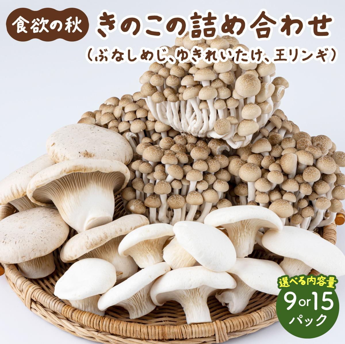 【ふるさと納税】食欲の秋！きのこの詰め合わせ 選べるパック数(各3〜5パック)AT16/AT17