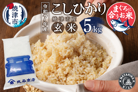 a13-129　令和７年産　マグロによく合うお米 コシヒカリ 玄米 5kg