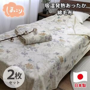 【シングル2枚組】『ほっ』とするやさしい暖かさの綿毛布  SH-36901S-2P【1644244】