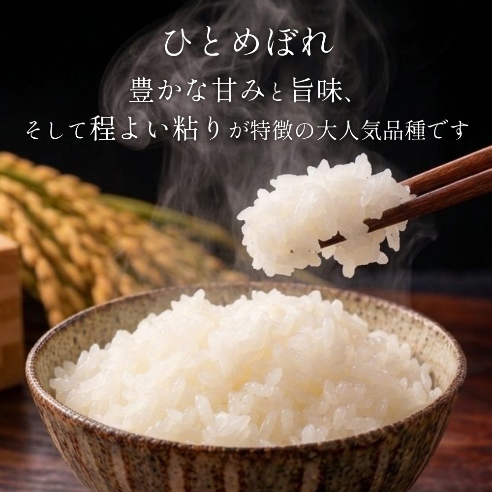 【 令和8年産 】 新米 ひとめぼれ 10kg 宮城県 石巻市産 精米 