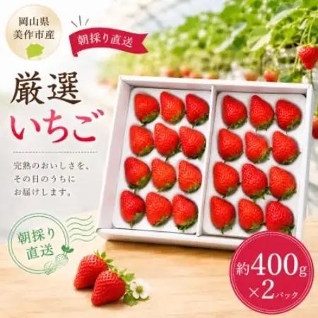 【2026年年内発送】【御歳暮】岡山県美作市産 厳選いちご(約400g×2パック)【配送不可地域：離島・北海道・沖縄県】【1781307】