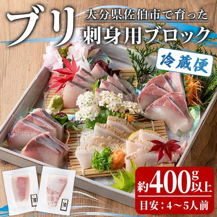 ブリ 刺身用 ブロック (約400-500g・4-5人前) ブリ 鰤 ぶり 海鮮 鮮魚 さしみ 刺し身 冷蔵 【opba002】【海べ】