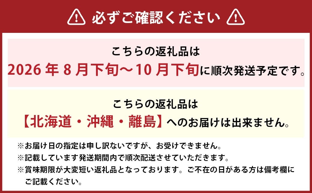 シャインマスカット 晴王 4房（1房480g以上）【2026年8月下旬～10月下旬まで発送予定】 ／ マスカット 葡萄 ぶどう 果物 果実 フルーツ 種なし 皮ごと 大粒 岡山県 美咲町 冷蔵