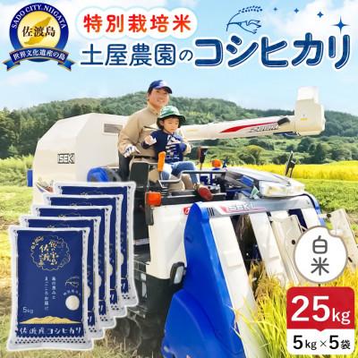 ふるさと納税 佐渡市 【新米】令和8年産 佐渡島産コシヒカリ 白米25kg 土屋農園 農家直送 特別栽培米